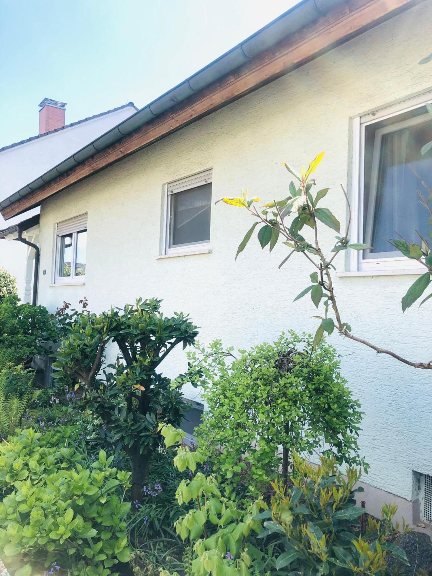 Ferienwohnung Feldmann Freckenfeld Ngoại thất bức ảnh